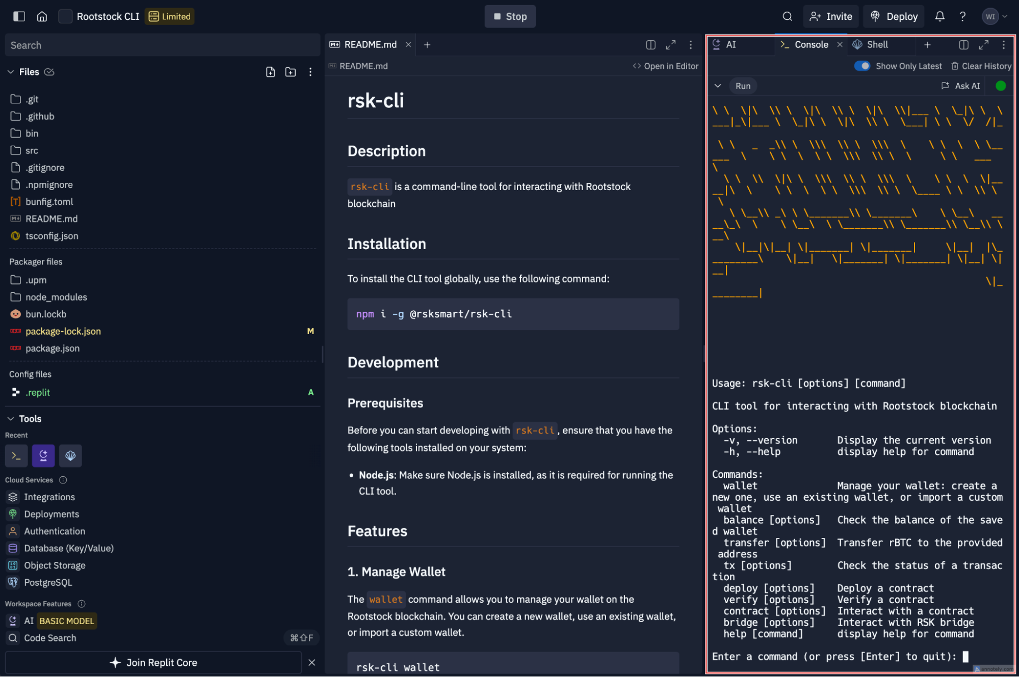 Interact with RSK-CLI on Replit